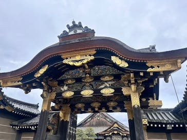 元離宮二条城に投稿された画像（2026/2/19）