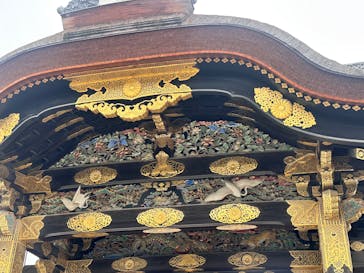 元離宮二条城に投稿された画像（2026/2/19）