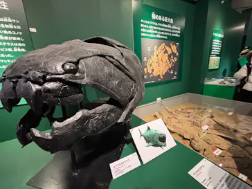 特別展「大絶滅展―生命史のビッグファイブ」に投稿された画像（2026/2/19）