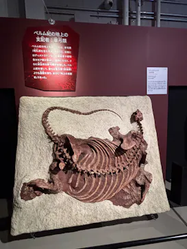 特別展「大絶滅展―生命史のビッグファイブ」に投稿された画像（2026/2/19）