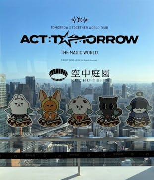 梅田スカイビル・空中庭園展望台に投稿された画像（2026/2/19）