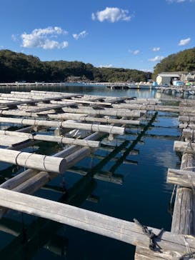 真珠工房 真珠の里に投稿された画像（2026/2/19）