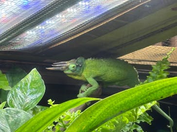 カワスイ 川崎⽔族館に投稿された画像（2026/2/19）