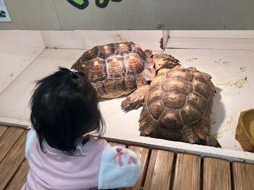 アニタッチ MARK IS 静岡に投稿された画像（2026/2/19）