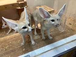 アニタッチ MARK IS 静岡に投稿された画像（2026/2/19）