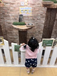 アニタッチ MARK IS 静岡に投稿された画像（2026/2/19）