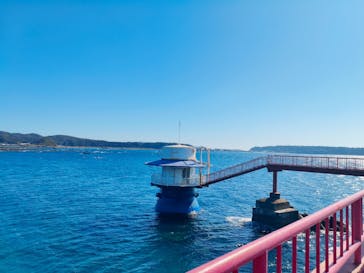 串本海中公園水族館に投稿された画像（2026/2/20）