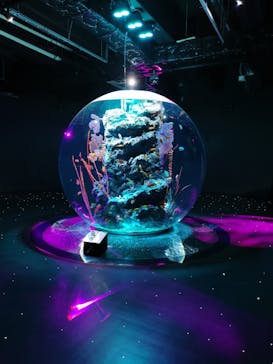 AQUARIUM × ART　atoaに投稿された画像（2026/2/20）