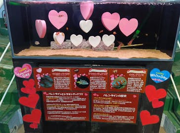 下田海中水族館に投稿された画像（2026/2/20）