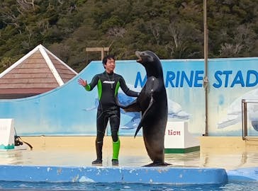 下田海中水族館に投稿された画像（2026/2/20）