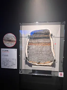 特別展「大絶滅展―生命史のビッグファイブ」に投稿された画像（2026/2/20）