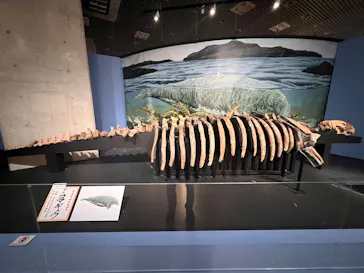 特別展「大絶滅展―生命史のビッグファイブ」に投稿された画像（2026/2/20）