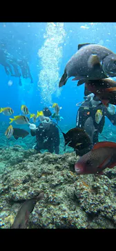 武藤潜水に投稿された画像（2026/2/20）