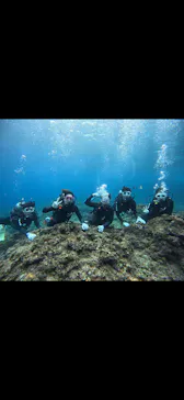 武藤潜水に投稿された画像（2026/2/20）