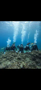 武藤潜水に投稿された画像（2026/2/20）