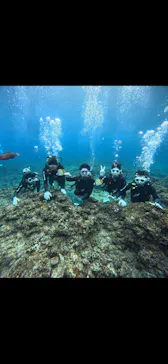 武藤潜水に投稿された画像（2026/2/20）