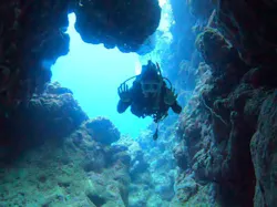 OG DIVE SERVICE（オージーダイブサービス）に投稿された画像（2026/2/20）