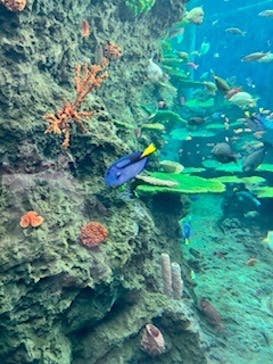 鴨川シーワールドに投稿された画像（2026/2/20）