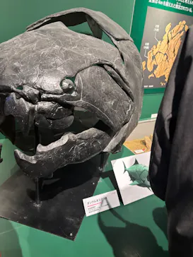 特別展「大絶滅展―生命史のビッグファイブ」に投稿された画像（2026/2/20）