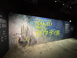 NAKED meets ガウディ展に投稿された画像（2026/2/20）