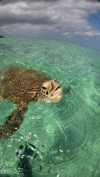 nico 宮古島に投稿された画像（2026/2/20）