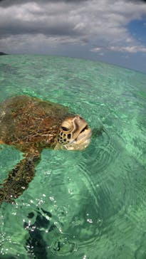 nico 宮古島に投稿された画像（2026/2/20）