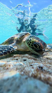 nico 宮古島に投稿された画像（2026/2/20）