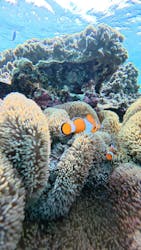 nico 宮古島に投稿された画像（2026/2/20）