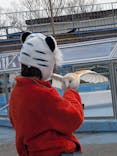 東武動物公園に投稿された画像（2026/2/20）