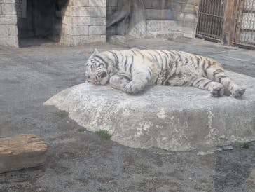 東武動物公園に投稿された画像（2026/2/20）
