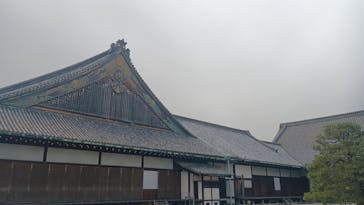 元離宮二条城に投稿された画像（2026/2/20）