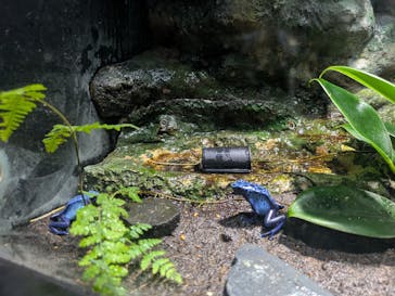 サンシャイン水族館に投稿された画像（2026/2/20）