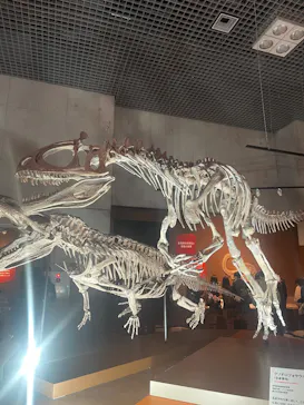 特別展「大絶滅展―生命史のビッグファイブ」に投稿された画像（2026/2/20）