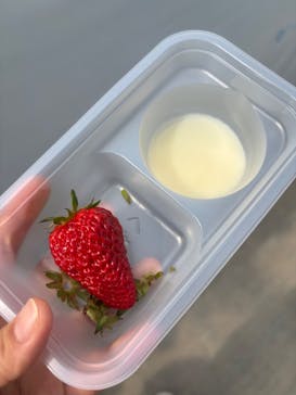 山万ユーカリファームに投稿された画像（2026/2/20）