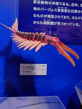 特別展「大絶滅展―生命史のビッグファイブ」に投稿された画像（2026/2/20）