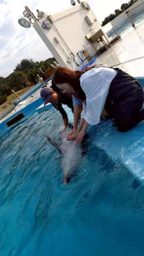 沖縄美ら海水族館（館内体験）に投稿された画像（2026/2/20）
