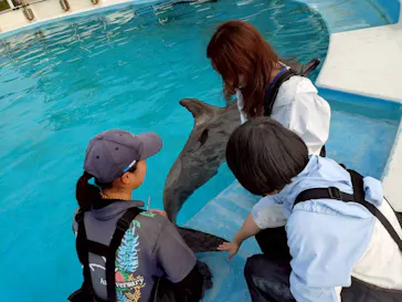 沖縄美ら海水族館（館内体験）に投稿された画像（2026/2/20）