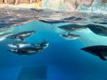 名古屋港水族館に投稿された画像（2026/2/20）