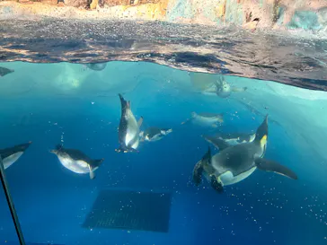 名古屋港水族館に投稿された画像（2026/2/20）