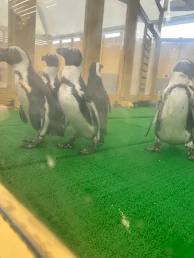 名古屋港水族館に投稿された画像（2026/2/20）