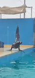 竹島水族館に投稿された画像（2026/2/20）