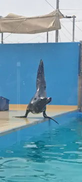 竹島水族館に投稿された画像（2026/2/20）