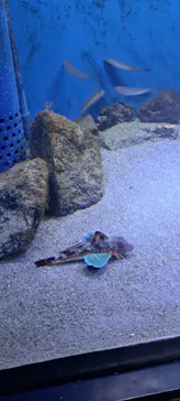 竹島水族館に投稿された画像（2026/2/20）