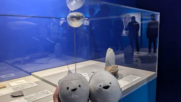 特別展「大絶滅展―生命史のビッグファイブ」に投稿された画像（2026/2/20）