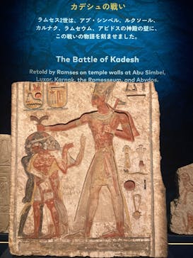 ACN ラムセス大王展 ファラオたちの黄金に投稿された画像（2026/2/20）