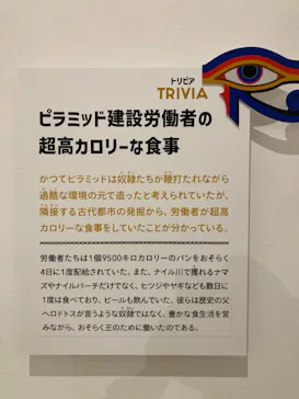 ブルックリン博物館所蔵 特別展 古代エジプト ー掘り起こせ、三千年の謎― 福岡会場に投稿された画像（2026/2/20）