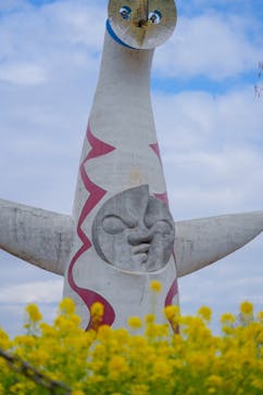 万博記念公園に投稿された画像（2026/2/20）