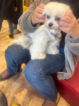 いぬカフェRio イオンモール宮崎店に投稿された画像（2026/2/20）