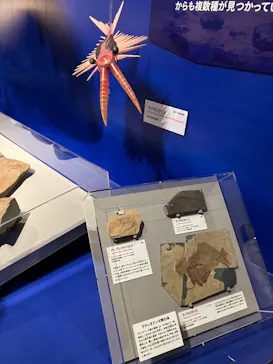 特別展「大絶滅展―生命史のビッグファイブ」に投稿された画像（2026/2/20）