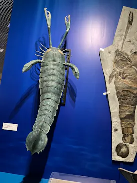 特別展「大絶滅展―生命史のビッグファイブ」に投稿された画像（2026/2/20）